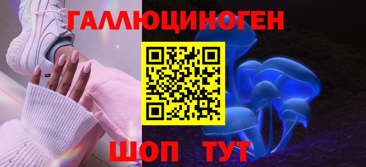 купить наркотики сайты  Галлюциногенные грибы мухоморы  Вход с VPN  Губаха  Псилоцибиновые грибы прущие грибы 
